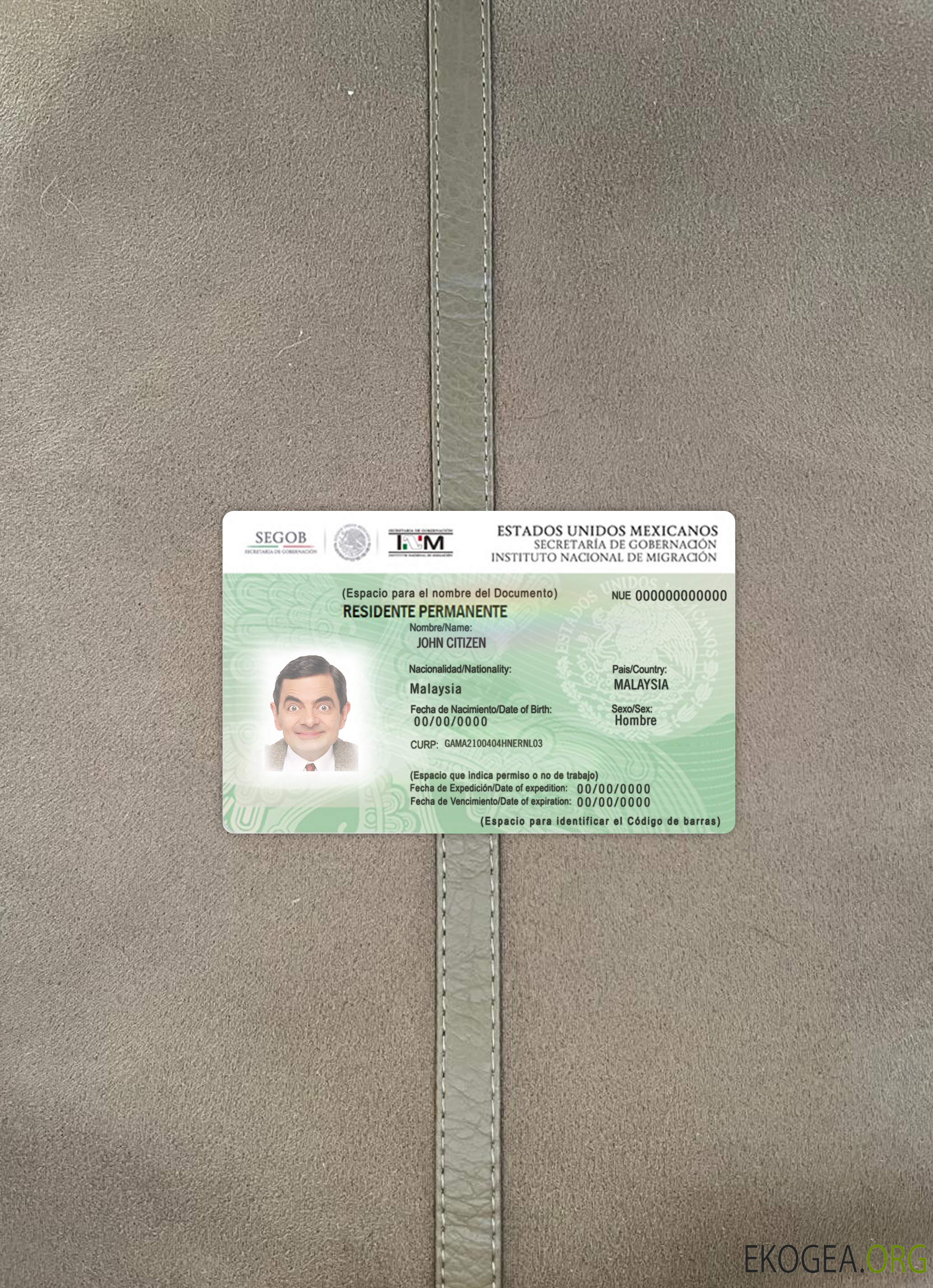 Carte verte du Mexique (permis de séjour) photolook recto